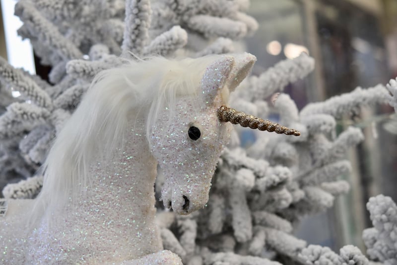 Unicorn Haven Experience