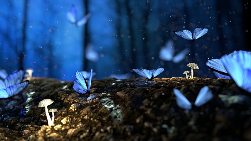 Fairy Glade Image